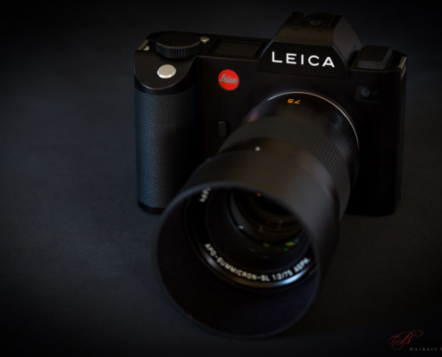 Leica SL + SL 75mm 2.0 Summicron